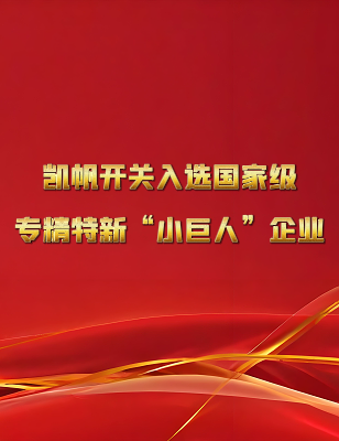凯帆开关入选国家专精特新“小巨人”企业公示名单
